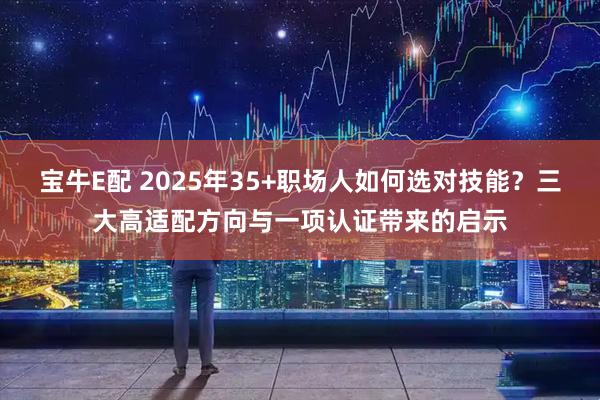 宝牛E配 2025年35+职场人如何选对技能？三大高适配方向与一项认证带来的启示