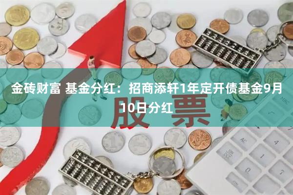 金砖财富 基金分红：招商添轩1年定开债基金9月10日分红