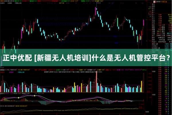 正中优配 [新疆无人机培训]什么是无人机管控平台？