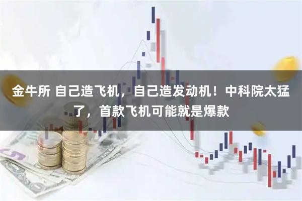 金牛所 自己造飞机，自己造发动机！中科院太猛了，首款飞机可能就是爆款