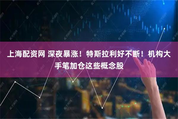 上海配资网 深夜暴涨！特斯拉利好不断！机构大手笔加仓这些概念股