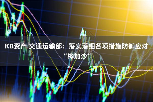 KB资产 交通运输部：落实落细各项措施防御应对“桦加沙”