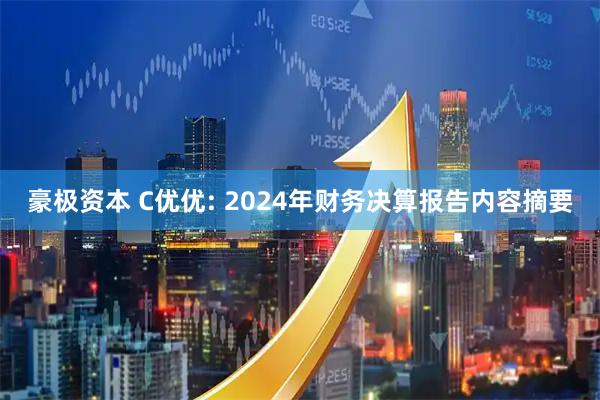 豪极资本 C优优: 2024年财务决算报告内容摘要
