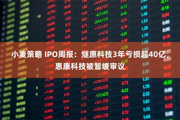 小麦策略 IPO周报：燧原科技3年亏损超40亿，惠康科技被暂缓审议