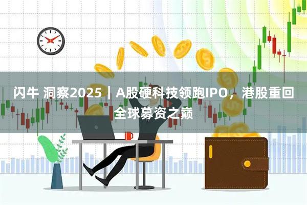 闪牛 洞察2025｜A股硬科技领跑IPO，港股重回全球募资之巅